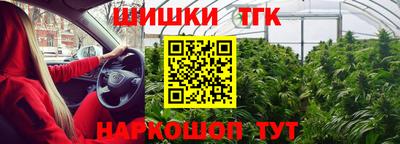 гашик Ливны