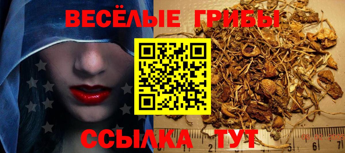 Галлюциногенные грибы Psilocybine cubensis Уварово